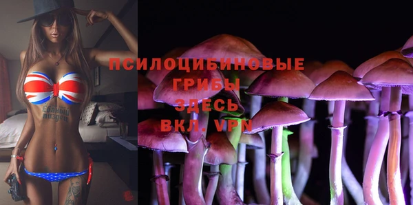 мяу мяу мука Аркадак