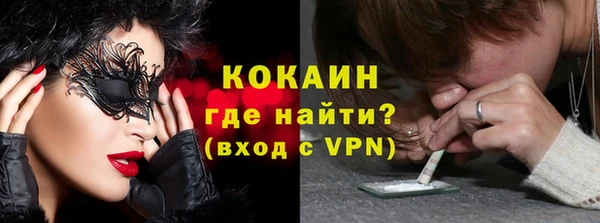 ПСИЛОЦИБИНОВЫЕ ГРИБЫ Арсеньев