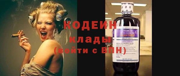 ПСИЛОЦИБИНОВЫЕ ГРИБЫ Арсеньев