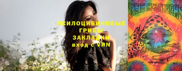 мяу мяу мука Аркадак
