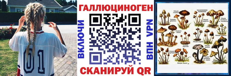 Купить где  Нефтекумск  Псилоцибиновые грибы Psilocybe 